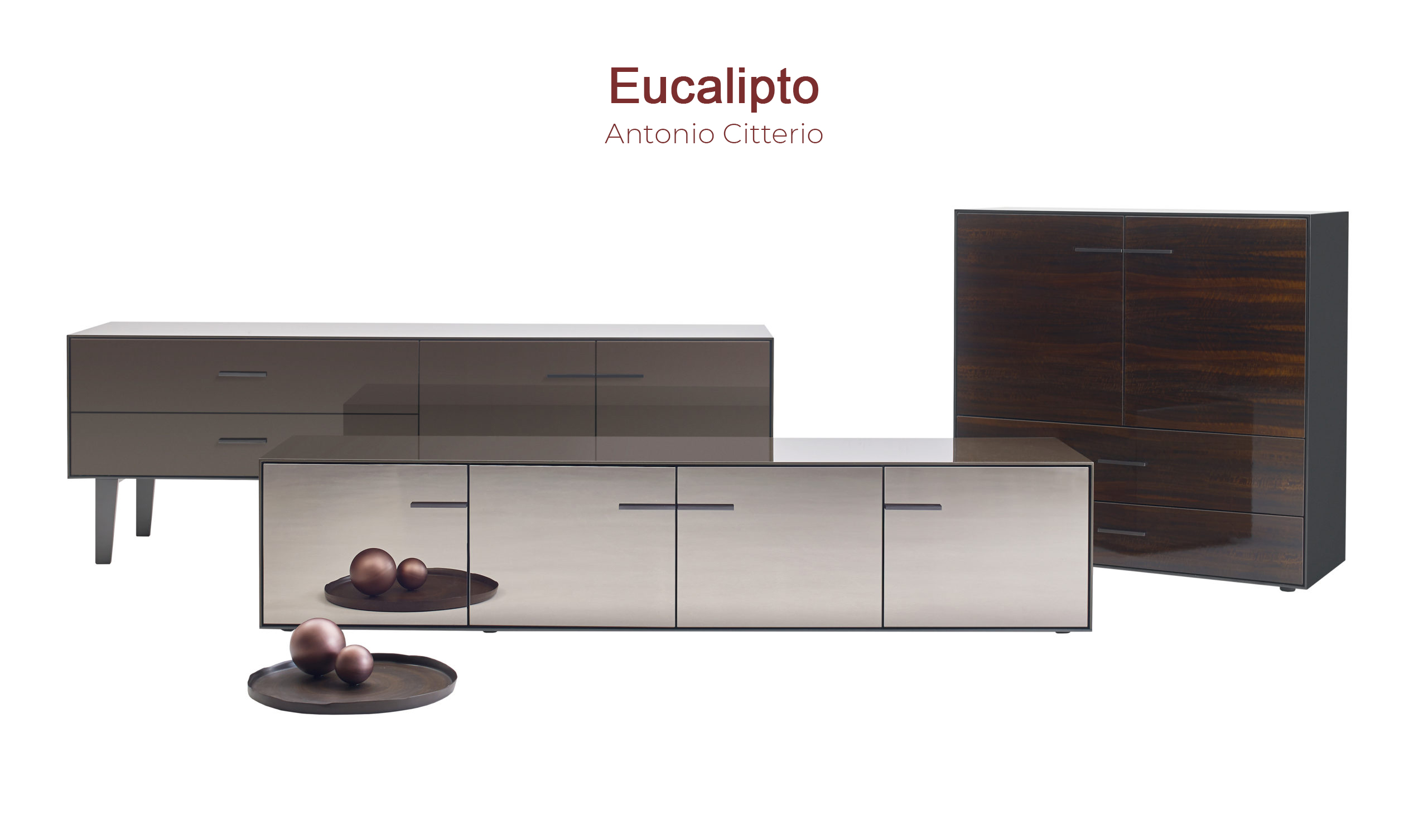 eucalipto